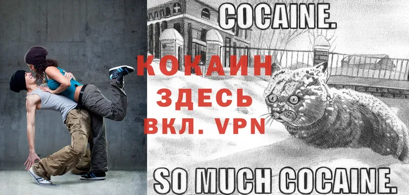 магазин  наркотиков  Северск  COCAIN FishScale 